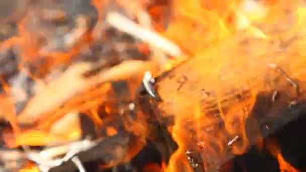 Combustion de poutres en bois, gros plan — Video