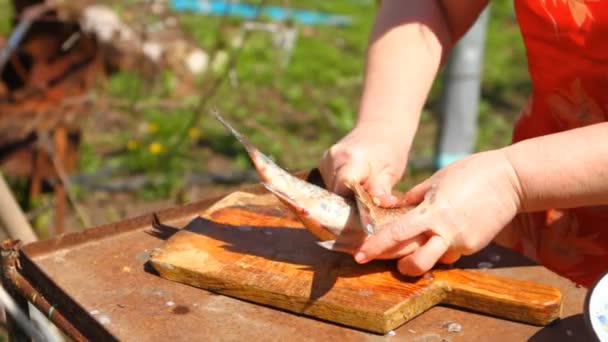 Mujer limpia el pescado fresco, primer plano — Vídeo de stock