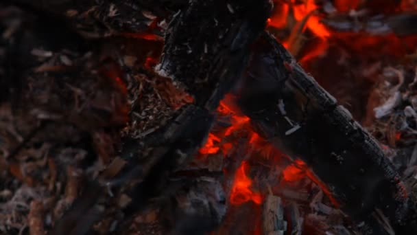 Embers after a fire — Stock Video