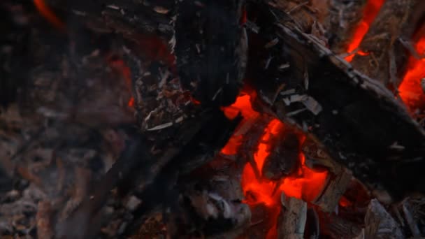 Embers after a fire — Stock Video