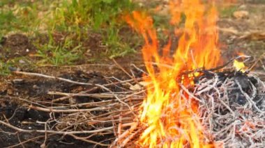 eski paslı kurulu, closeup testere gördüm