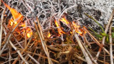 eski paslı kurulu, closeup testere gördüm