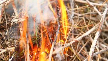 eski paslı kurulu, closeup testere gördüm