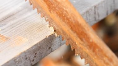 eski paslı kurulu, closeup testere gördüm