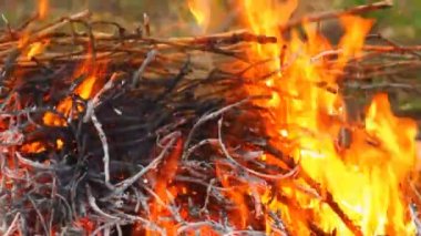 eski paslı kurulu, closeup testere gördüm