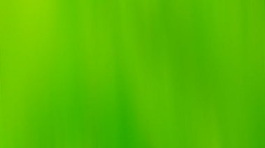 Yeşil suda yeşil mürekkep daire