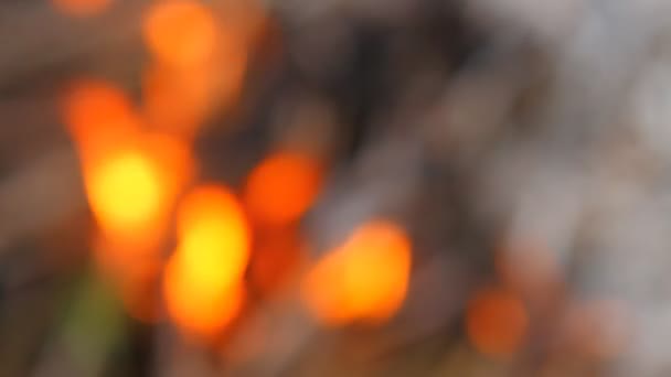 tir de feu de forêt dans le flou 