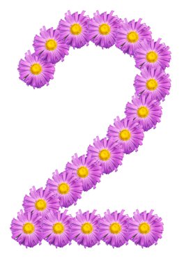 2 numaralı renk mor Aster oluşur. Beyaz bac izole