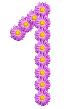 1 numaralı renk mor Aster oluşur. Beyaz bac izole