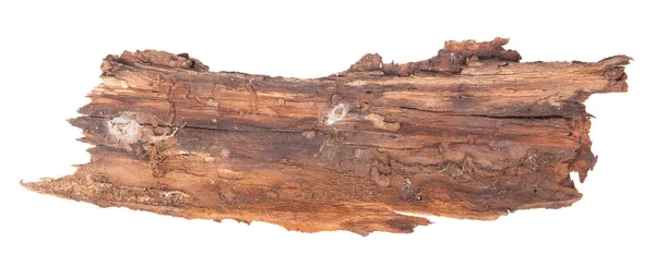 木の樹皮の部分。白い背景に分離 — ストック写真