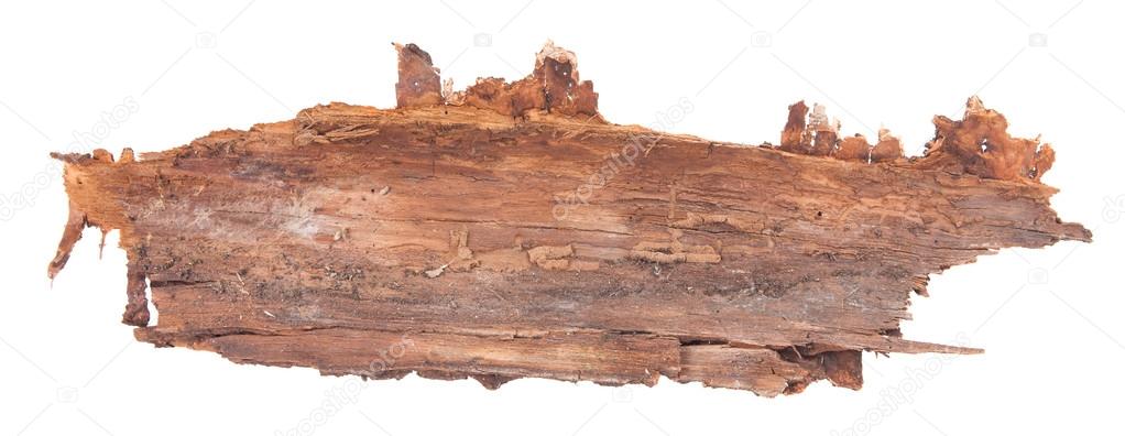 https://st2.depositphotos.com/2108197/10878/i/950/depositphotos_108788640-stock-photo-piece-of-tree-bark-isolated.jpg