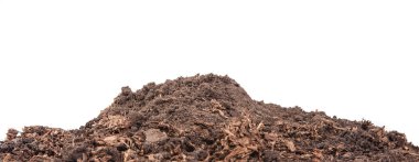 Bitkiler için Sosil. Beyaz arka plan üzerinde izole