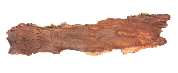 白い背景で隔離の樹皮の木 — ストック写真