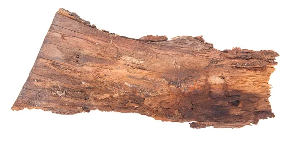 Bark tree isolated on white background — Stock Photo, Image