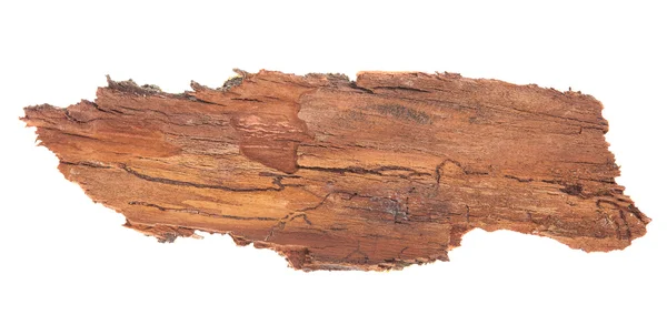Kůra stromu izolovaných na bílém pozadí — Stock fotografie