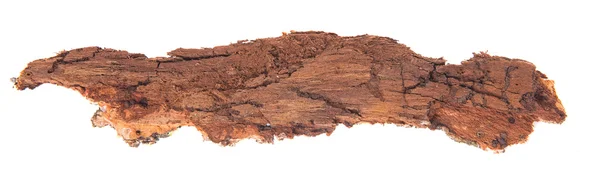 Bark tree isolated on white background — Stock Photo, Image