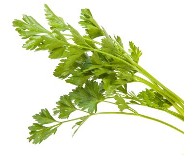 Maydanoz yaprakları beyaz arkaplanda yalıtılmış