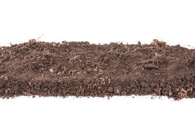 Toprak bitki için. Beyaz arka plan üzerinde izole