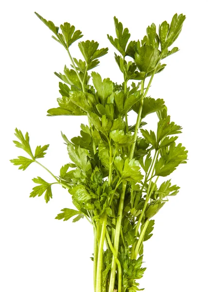 Parsley leaves isolated on white background — Stock Photo, Image