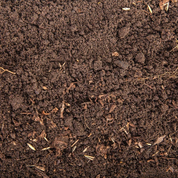 Böden für Pflanzen. Hintergrund — Stockfoto