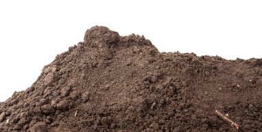 Beyaz arka plan üzerinde izole dikim için toprak