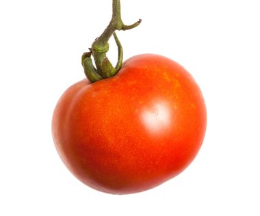 Beyaz arka planda bir dalda olgun kırmızı domatesler