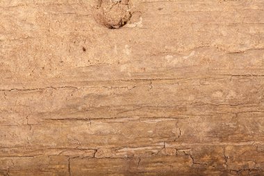 Eski kırık tahtası. arka plan makro