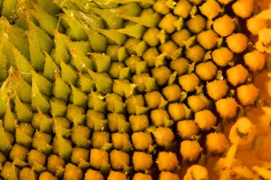 Ayçiçeği şapka. arka plan makro