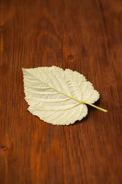 Φύλλα βατόμουρου σε φόντο ξύλινη — Φωτογραφία Αρχείου