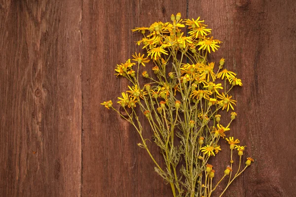 Fleurs jaunes sur un fond en bois — Photo