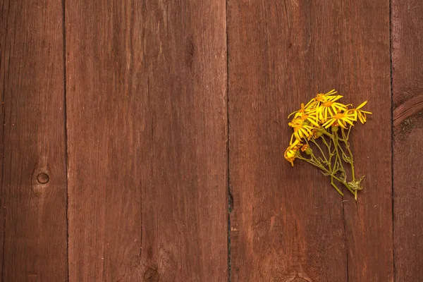 Fleurs jaunes sur un fond en bois — Photo