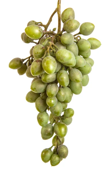 Bund unreifer grüner Trauben. isoliert auf weißem Hintergrund — Stockfoto