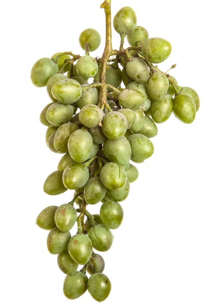 Bund unreifer grüner Trauben. isoliert auf weißem Hintergrund — Stockfoto