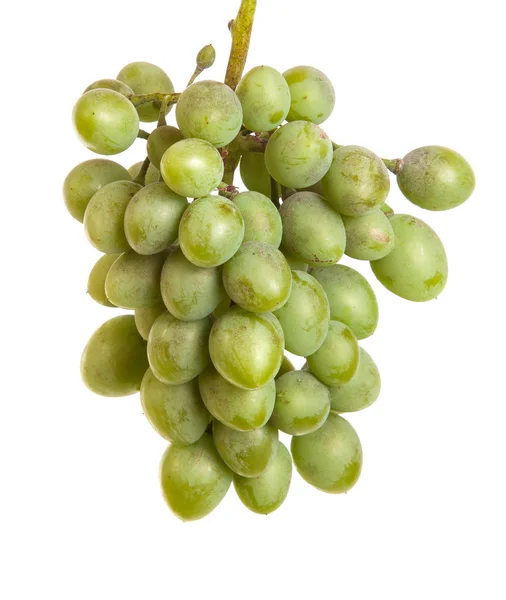 Um monte de uvas verdes não maduras. isolado em fundo branco — Fotografia de Stock