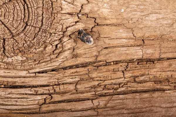 Vecchia tavola rotta. macro di sfondo — Foto Stock