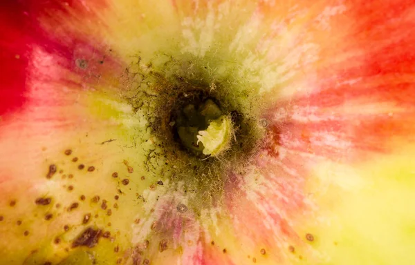 Peel apples closeup. background macro — Stock Photo, Image