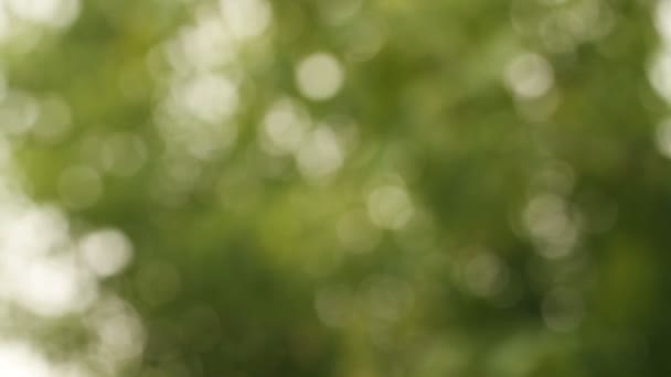 Fond abstrait flou. Rock les arbres bokeh 