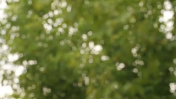 Fond abstrait flou. Rock les arbres bokeh 