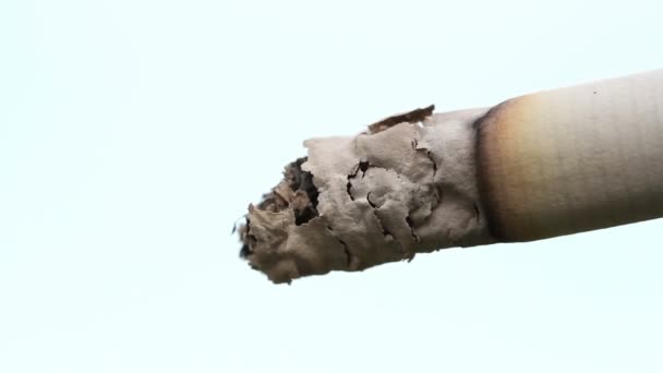 Smoldering cigarette. macro — Stock Video