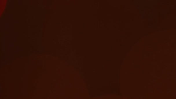 clignotant cercles multicolores. guirlande fond flou 