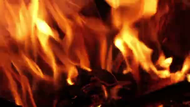 Flame of Fire closeup. spurts of flame — Stock Video