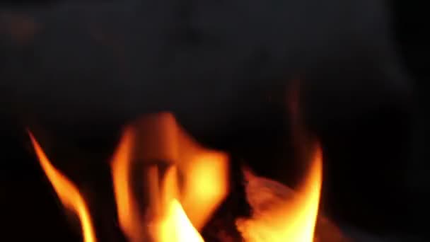 Helles Flammenfeuer. Brennendes Feuer — Stockvideo