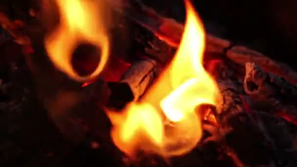 Bright flame fire. burning fire — Stock Video