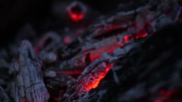 Smouldering coals. close-up — Stock Video