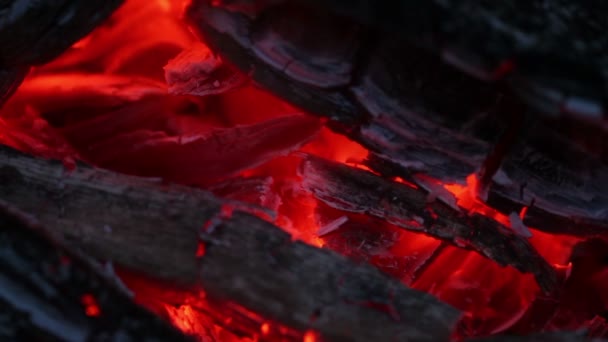 Smouldering coals. close-up — Stock Video