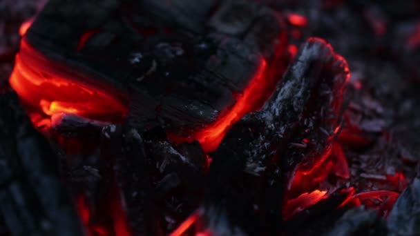 Υποβόσκει κάρβουνα. γκρο πλαν — Αρχείο Βίντεο