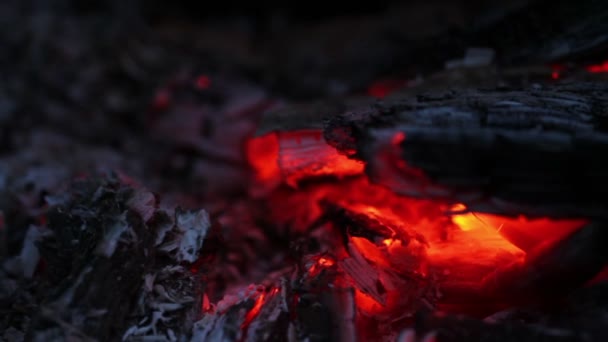 Carbón ardiendo. primer plano — Vídeo de stock