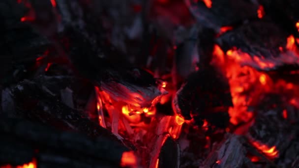 Carvões a arder. close-up — Vídeo de Stock