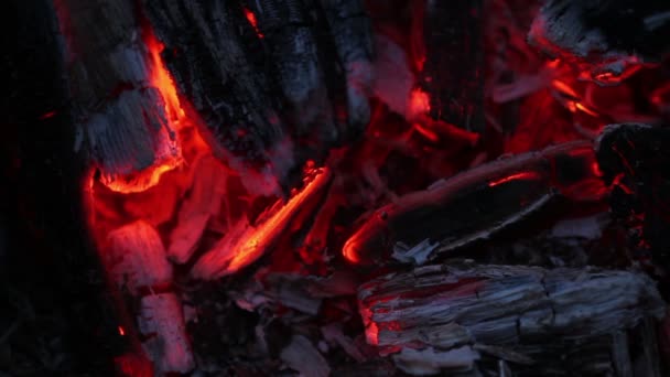 Carbón ardiendo. primer plano — Vídeos de Stock