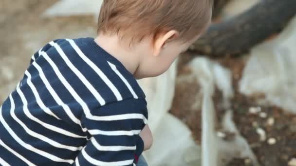 Kleine jongen spelen buiten kraken — Stockvideo